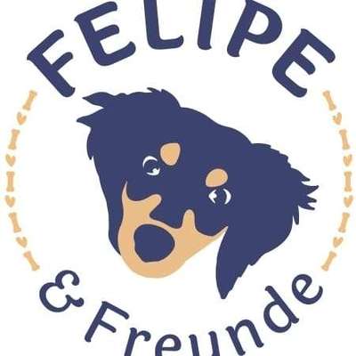 Hundeshops-Felipe & Freunde-Bild