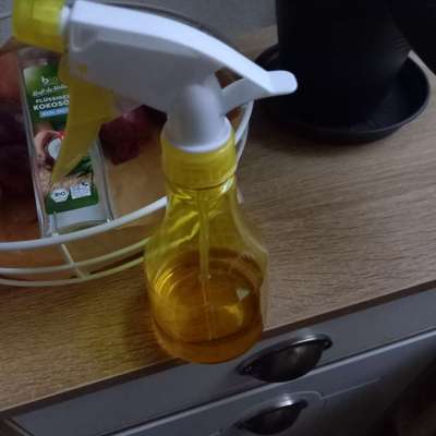 Fellpflege-Beitrag-Bild