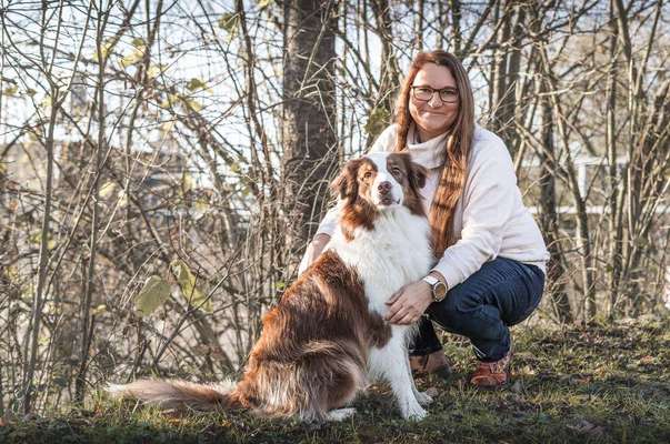 Hundeschulen-Better Dogether -Bild