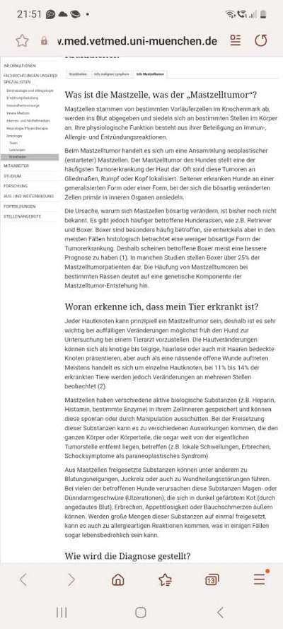 Mastzelltumor-Beitrag-Bild