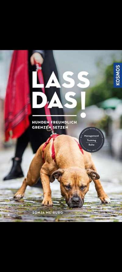 Erziehung und die Gefühle dabei-Beitrag-Bild