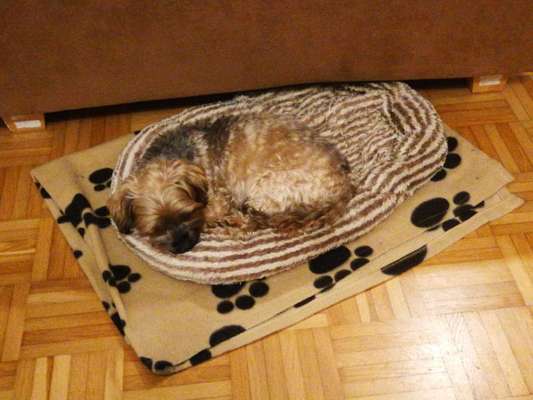 Schlafzeit!💖-Beitrag-Bild