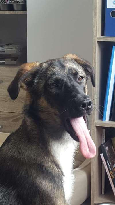 Handyfoto challenge Nr. 13: Waschlappen raus!-Beitrag-Bild