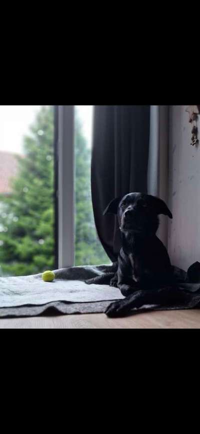 Die ersten Kommandos-Beitrag-Bild