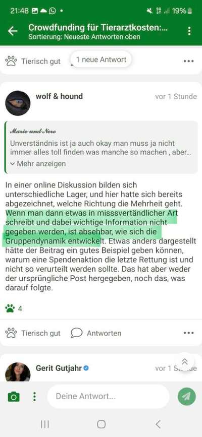 Crowdfunding für Tierarztkosten: Wenn Hundeeltern auf Unterstützung angewiesen sind-Beitrag-Bild