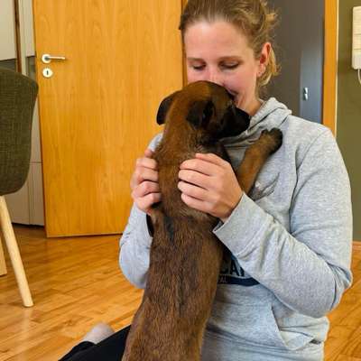 Hundetreffen-Welpentreffen