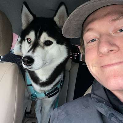 Hundetreffen-Gassirunden und spielen-Bild