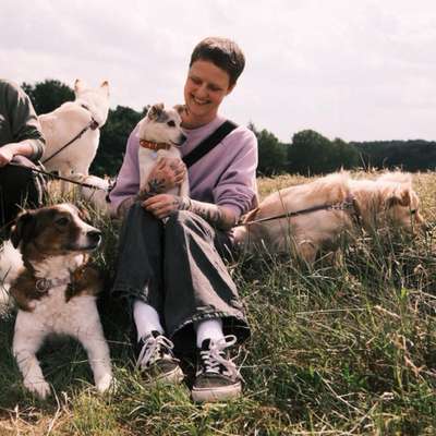 Hundeschulen-Zieger & Hunde - Mobile Hundeschule-Bild