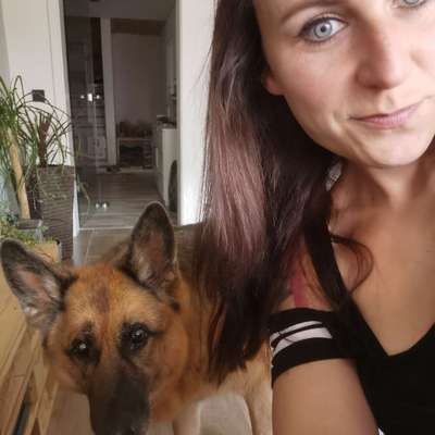 Hundetreffen-Gemeinsame Hunde-runden in Veitsbronn spielen und Gassi-Profilbild