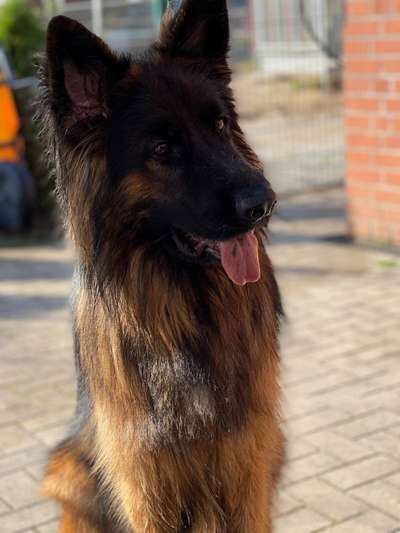 Fotochallange Nr. 57     PORTRÄT.   Beendet!!!!!!!!-Beitrag-Bild