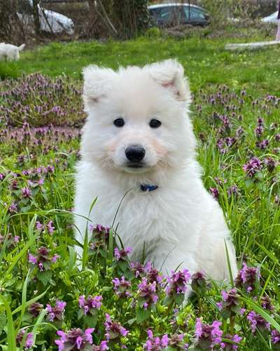 Lieblingsbild :D-Beitrag-Bild