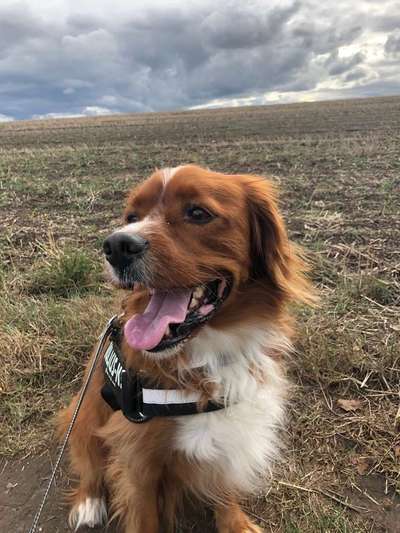 Immer lächeln !-Beitrag-Bild