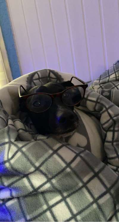 Lustige Bilder-Beitrag-Bild