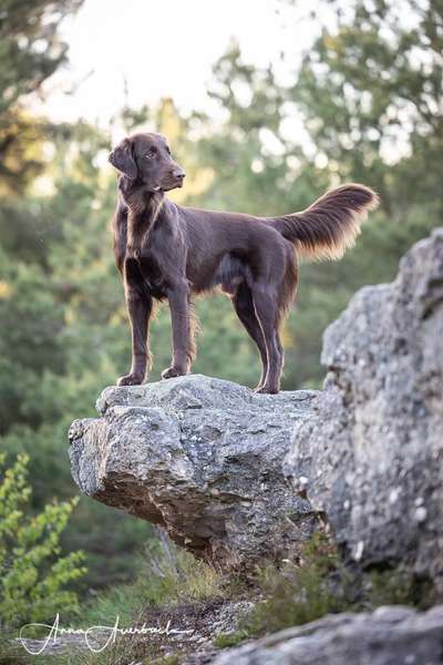 Moviestar-Pics!-Beitrag-Bild