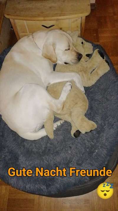 Lieblingsbild-Beitrag-Bild