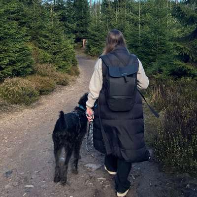 Hundetreffen-Spielfreund*in für Benni-Bild