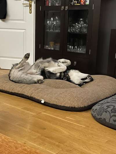 Fotochallenge Nr.65-Beitrag-Bild