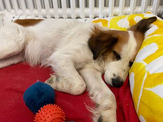 Zeigt her...-Beitrag-Bild