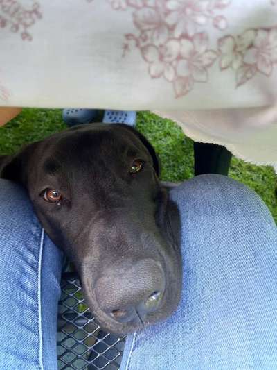 Handy-Foto Challange Nr. 10-Beitrag-Bild