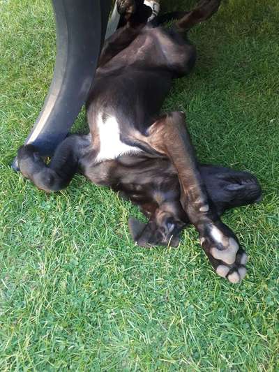 FOTO-Challenge  NR. 91: Die pure Entspannung-Beitrag-Bild