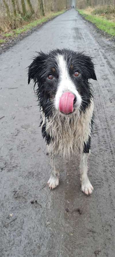 Tongue Out Tuesday-Beitrag-Bild