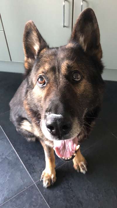 150. Foto Challaenge:  Die Augen, der Spiegel der Seele-Beitrag-Bild