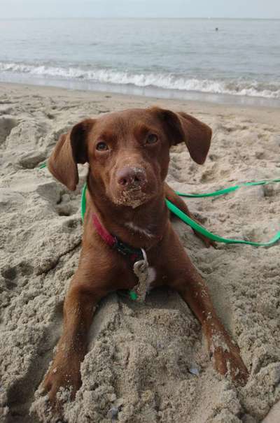 Fotochallange Nr. 57     PORTRÄT.   Beendet!!!!!!!!-Beitrag-Bild