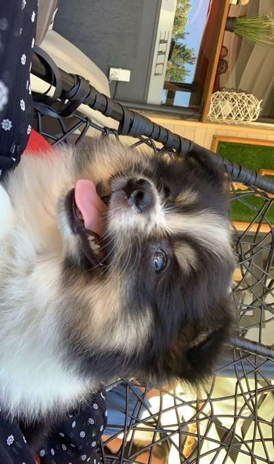 Sie werden so schnell erwachsen ...-Beitrag-Bild