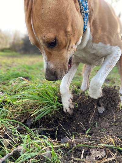 Fotochallange Nr. 6 Die irrsten Blicke-Beitrag-Bild