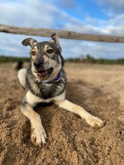 Fotochallange Nr. 6 Die irrsten Blicke-Beitrag-Bild