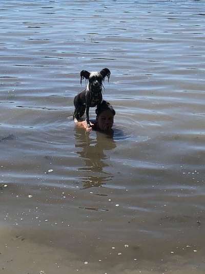 Foto Challenge - BEENDET - bitte aktuelle Challenge nutzen-Beitrag-Bild