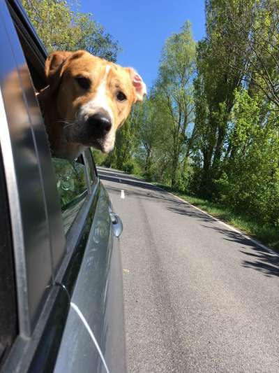 CHALLENGE NR. 18 - ON TOUR-Beitrag-Bild