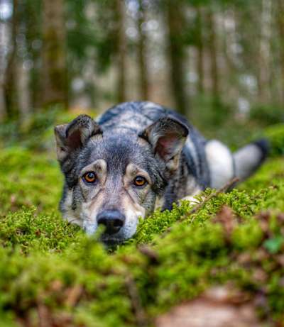 Austausch zur Fotografie-Beitrag-Bild