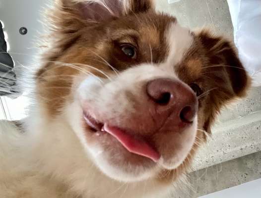 23. Handy Foto-Challenge-Beitrag-Bild