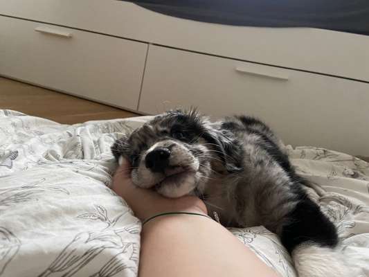 Fotochallange Nummer 5-Beitrag-Bild