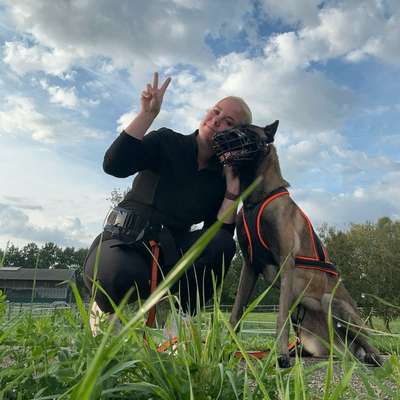 Hundetreffen-Treffen zum joggen-Bild