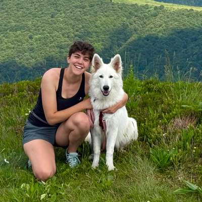 Hundetreffen-Gemeinsames Training-Bild