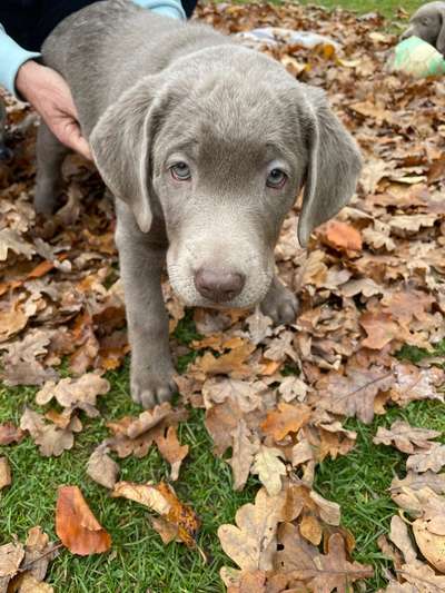 Fotochallange Nr. 57     PORTRÄT.   Beendet!!!!!!!!-Beitrag-Bild