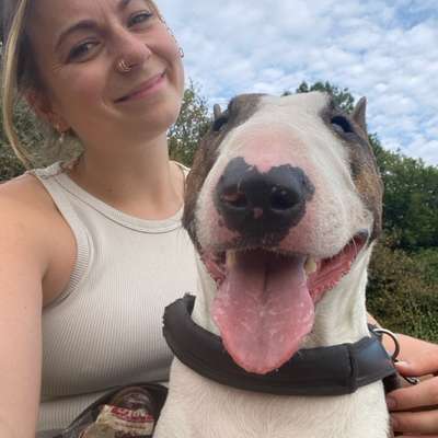 Hundetreffen-Walkies-Bild