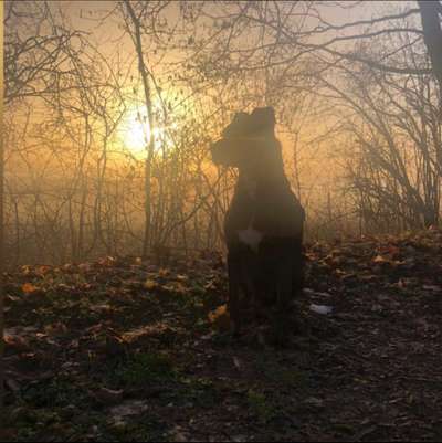 SonnenSTRAHLEN-Beitrag-Bild