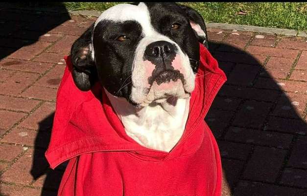 Fotochallange Nr. 57     PORTRÄT.   Beendet!!!!!!!!-Beitrag-Bild