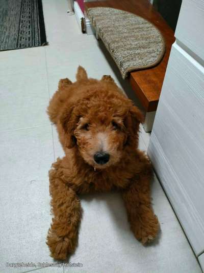 Handy-Foto Challange Nr. 10-Beitrag-Bild