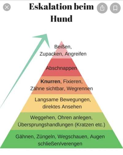 Aggression gegenüber Besitzer-Beitrag-Bild