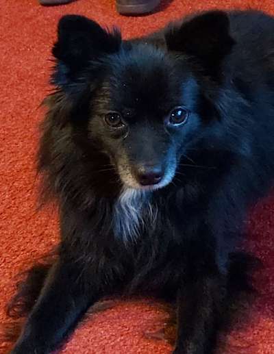 Fotochallange Nr. 57     PORTRÄT.   Beendet!!!!!!!!-Beitrag-Bild