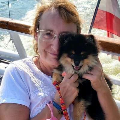 Hundetreffen-Kleine bis mittelgroße Hunde-Profilbild