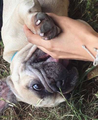 Challenge Nr. 10: "Das schönste Lächeln"-Beitrag-Bild