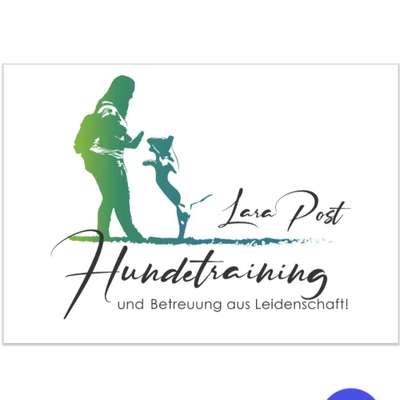 Hundeschulen-Hundetraining und Betreuung aus Leidenschaft-Bild