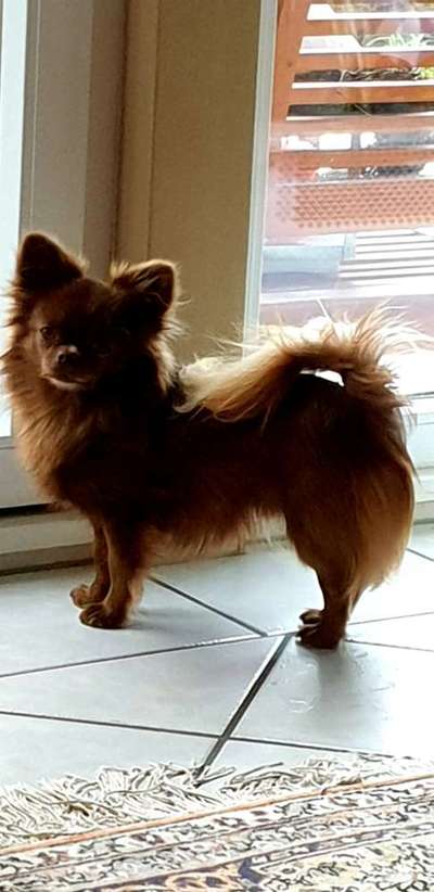 Challenge Nr. 10: "Das schönste Lächeln"-Beitrag-Bild