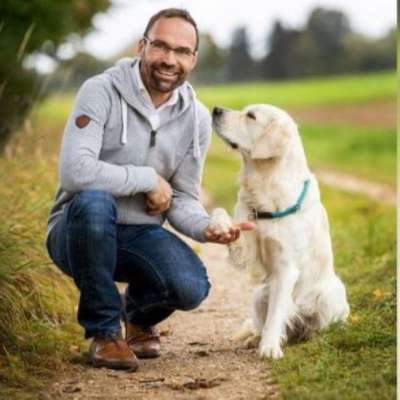 Hundetreffen-Entspannte Gassirunde-Profilbild