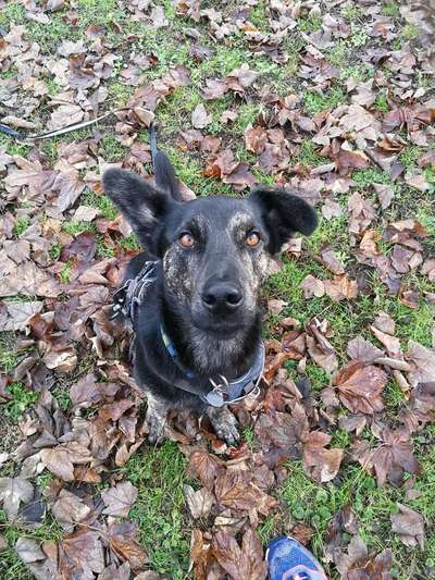 Geschirr Empfehlung-Beitrag-Bild